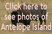 Click here to see photos of Antelope Island