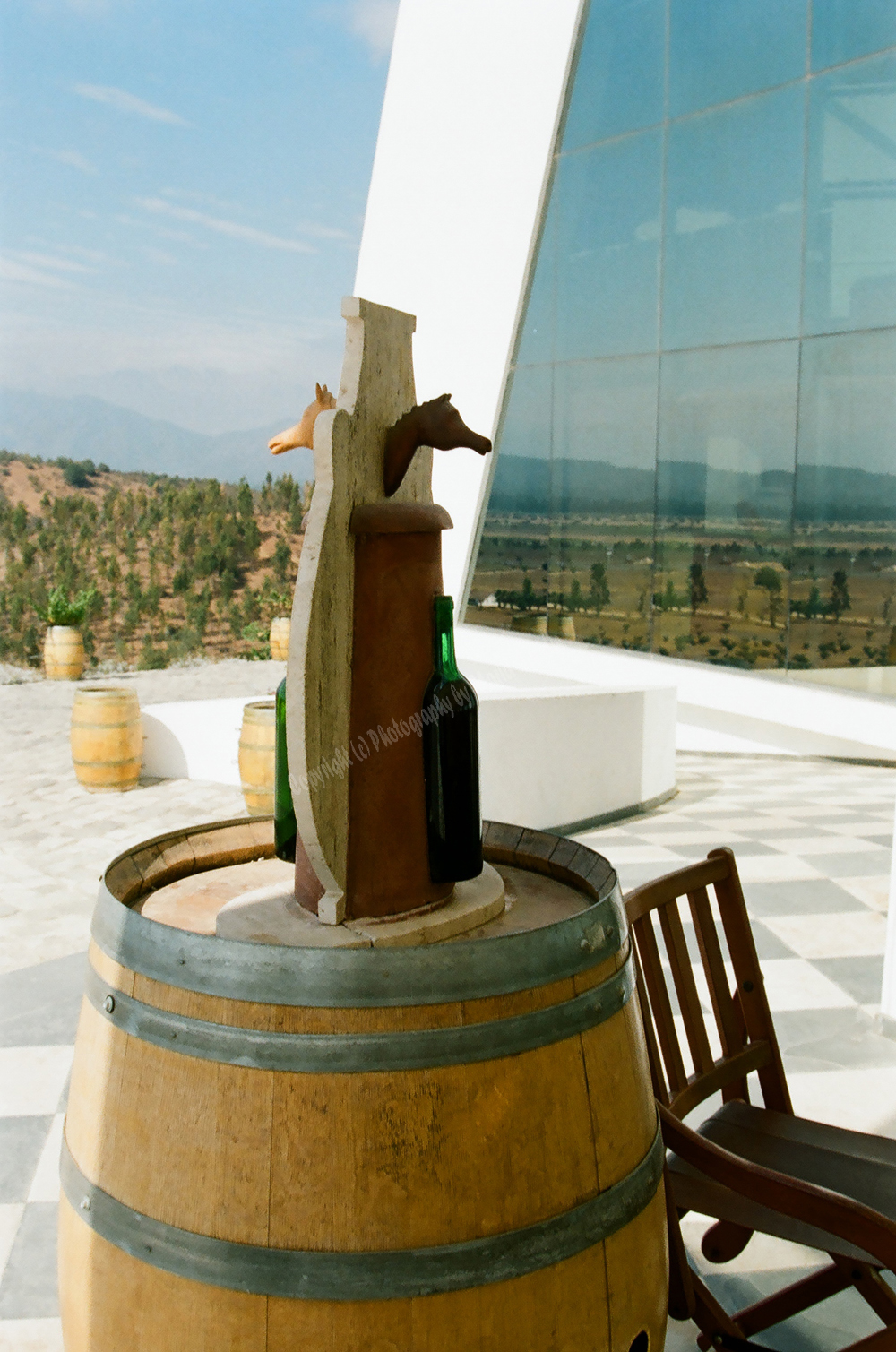 Winery in Chile