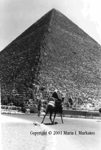 egypt-pyramid-manoncamel.JPG (35848 bytes)