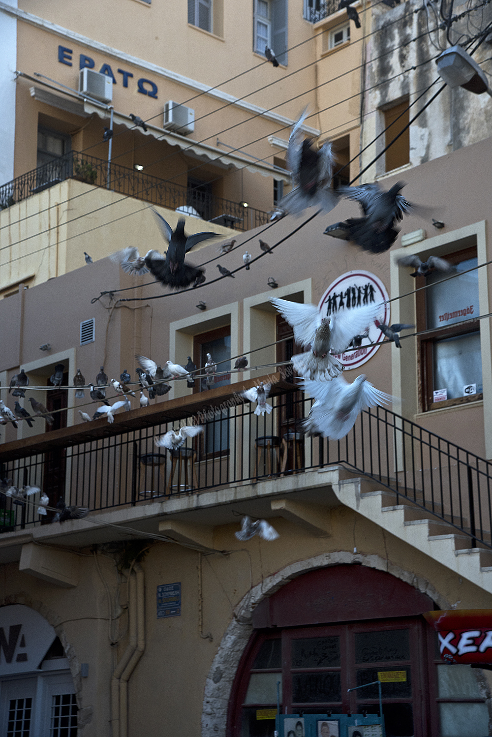 Chania Town