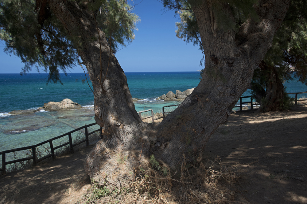 Chania Town