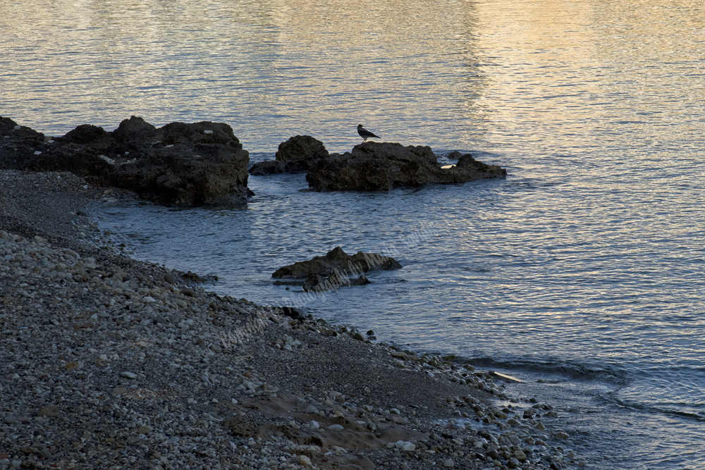 Chania Town