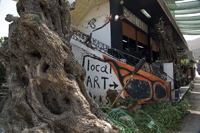 Topolia, Chania Nomos, Crete, Greece 2017-8DS-5232