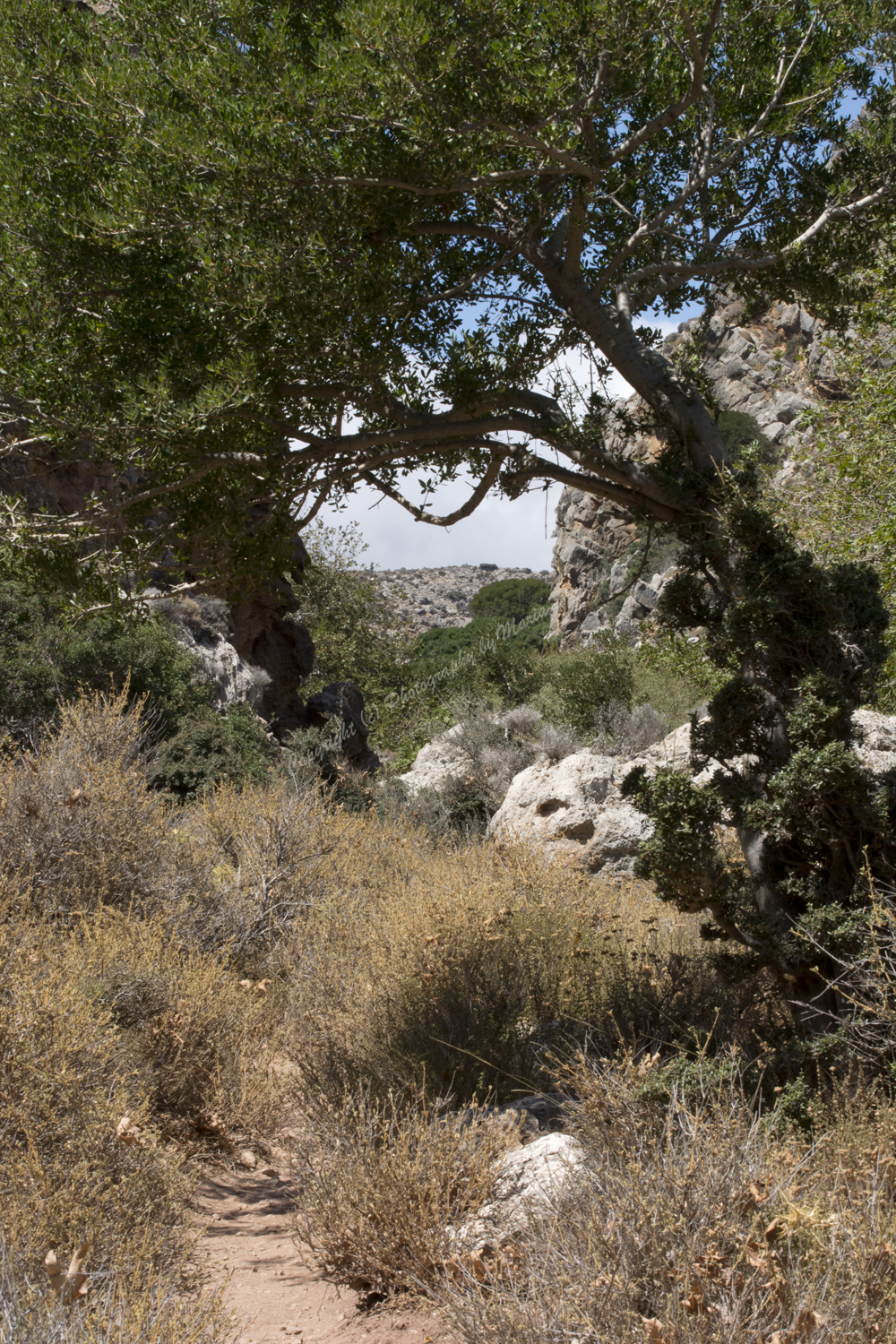 Zakros, Lassithi Nomos, Crete, Greece, 2017