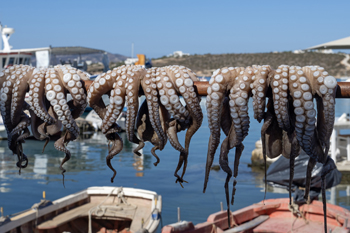 Paros, South Aegean Islands, Greece