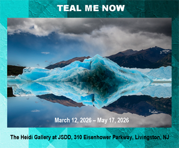 The Heidi Gallery at JSdd