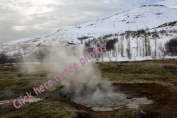 Click here to see photographs of Icelands magnificent Geysers erupting at Geysir park