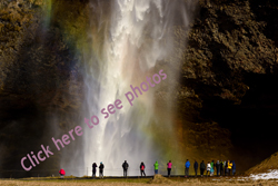 click here to see photographs of Iceland's magnificent Seljalandsfoss waterfalls, southern region, Iceland