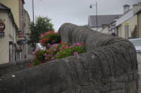 Sligo, Ireland 2014-5200