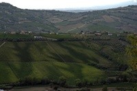Sant Angelo, Pescara Province, Abruzzo Region, Italy 2015-5715