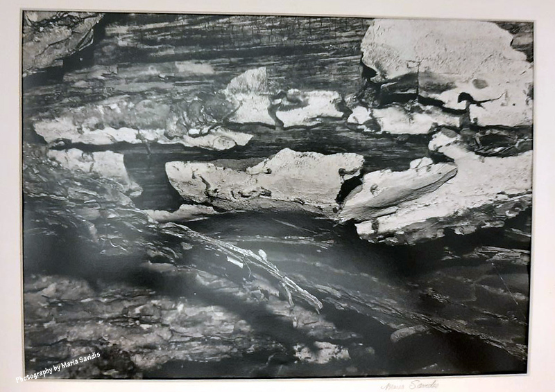 Bark, Silver Print, 1979