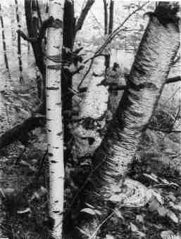 Black and White photos captured between 1964-1984 - Maria Savidis