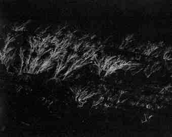Black and White photos captured between 1964-1984 - Maria Savidis