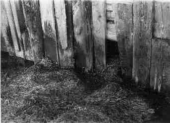 Black and White photos captured between 1964-1984 - Maria Savidis
