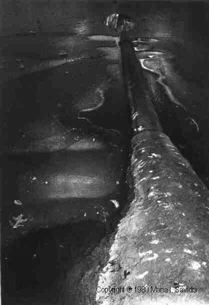 Black and White photos captured between 1964-1984 - Maria Savidis