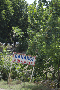 Tsanaktsi, Tekirdag, Turkey 9646