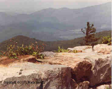 skylinedrive-virginia-1979.JPG (9459 bytes)