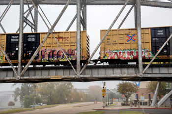 Photographs of Louisiana