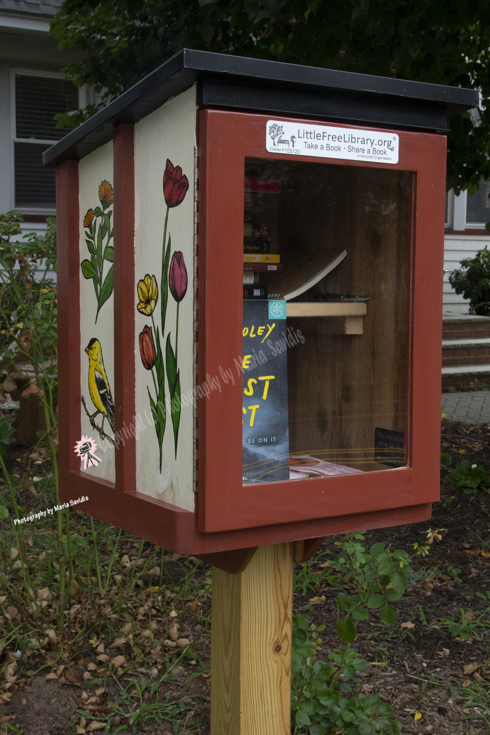  Bloomfield, New Jersey, Little Free Library