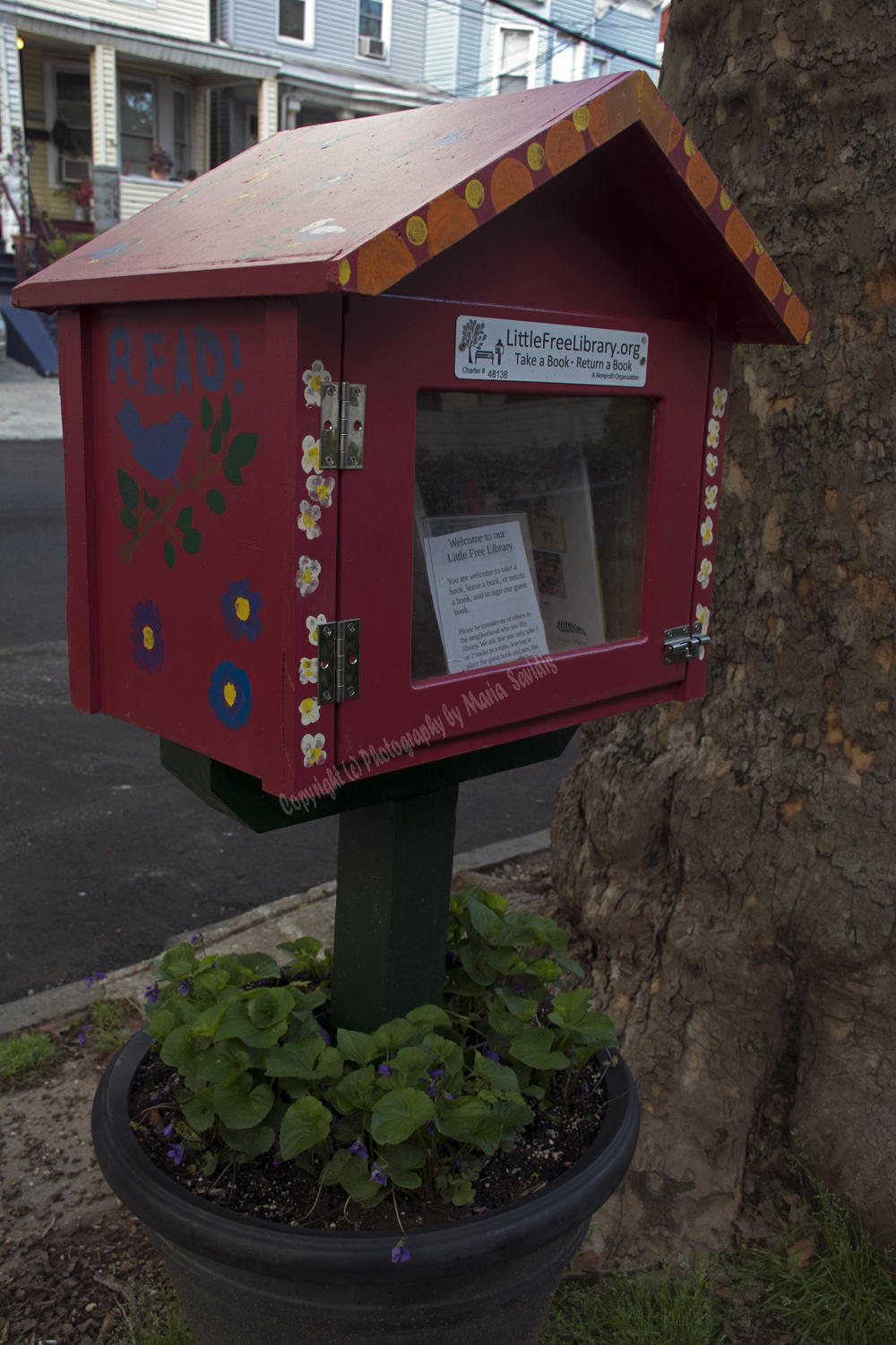 Little Free Library,  Jersey City, NJ 2017