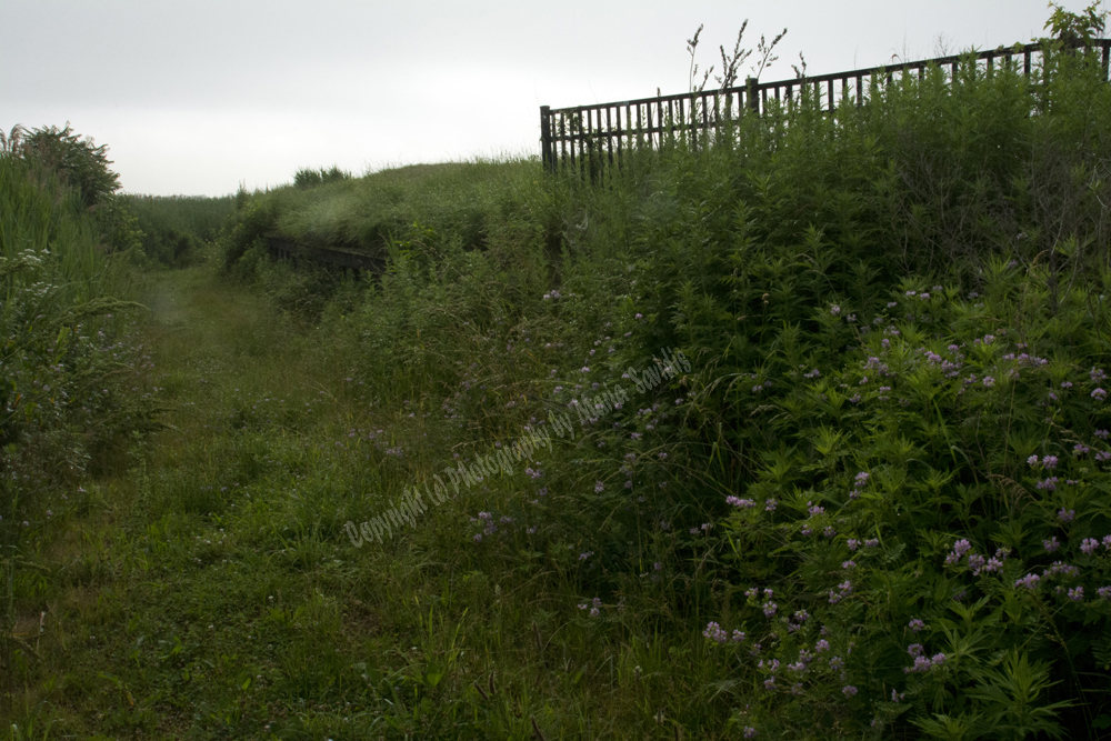 Jersey City, NJ 2017