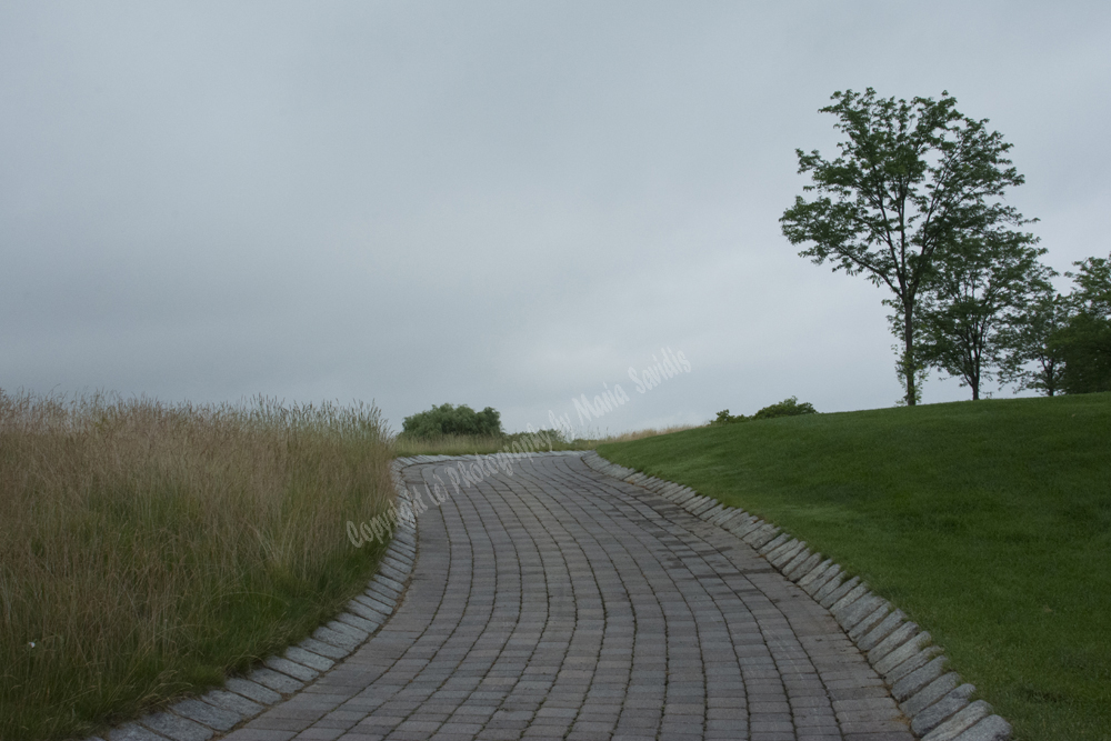 Jersey City, NJ 2017