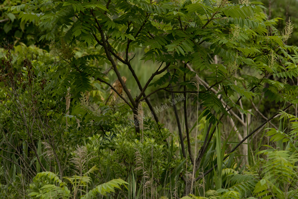 Jersey City, NJ 2017