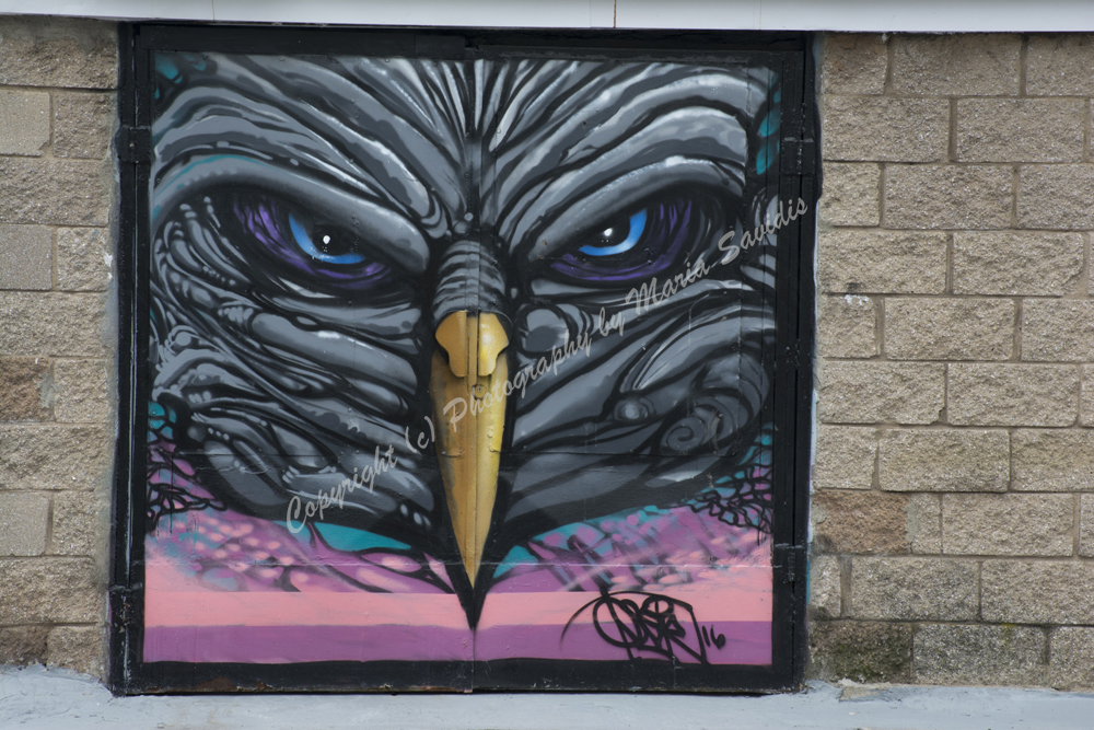 Street Art,  Jersey City, NJ 2017