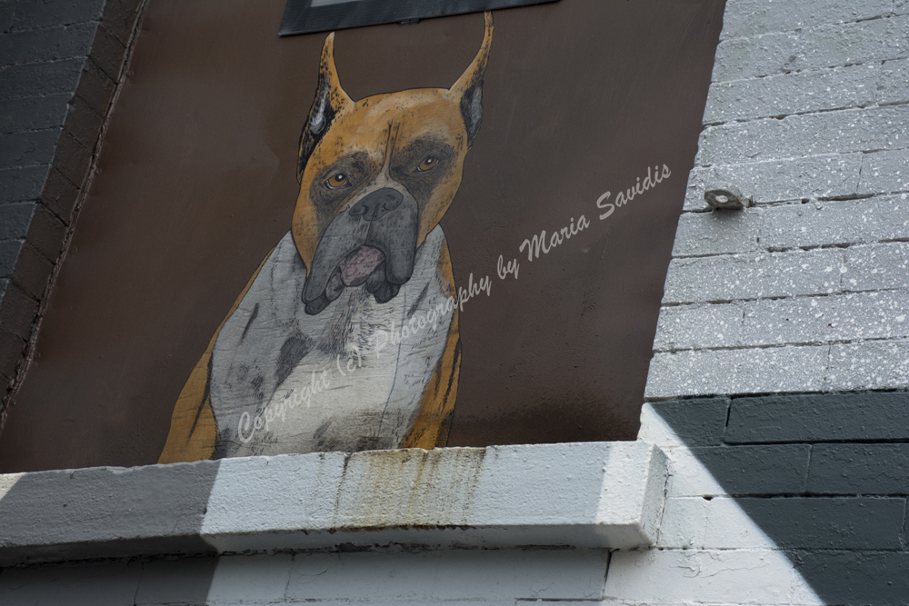 Jersey City, NJ 2017