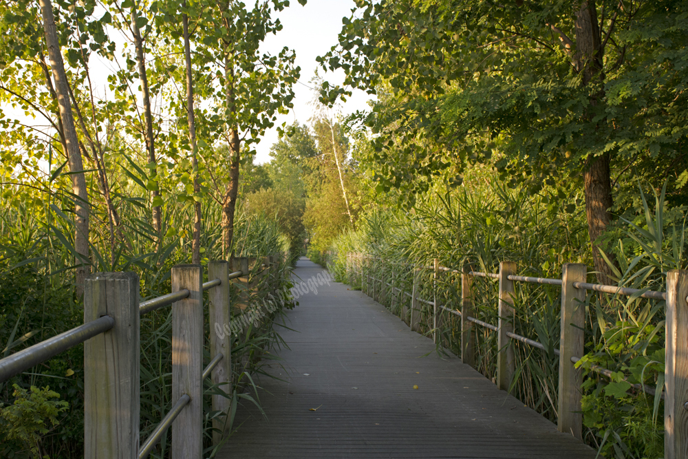 Jersey City, NJ 2017