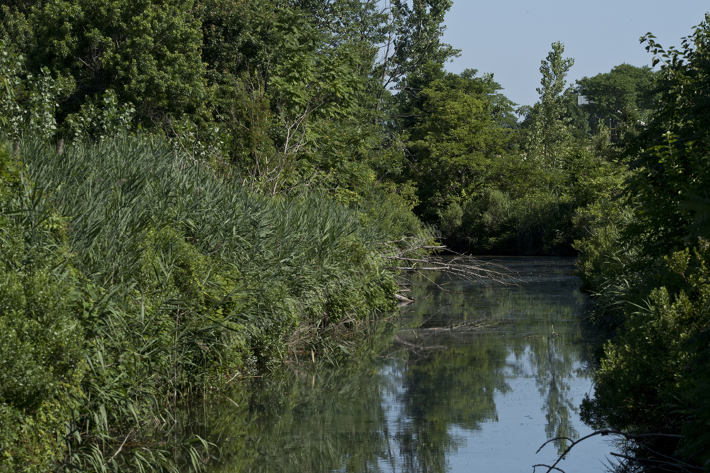 Jersey City, NJ 2017