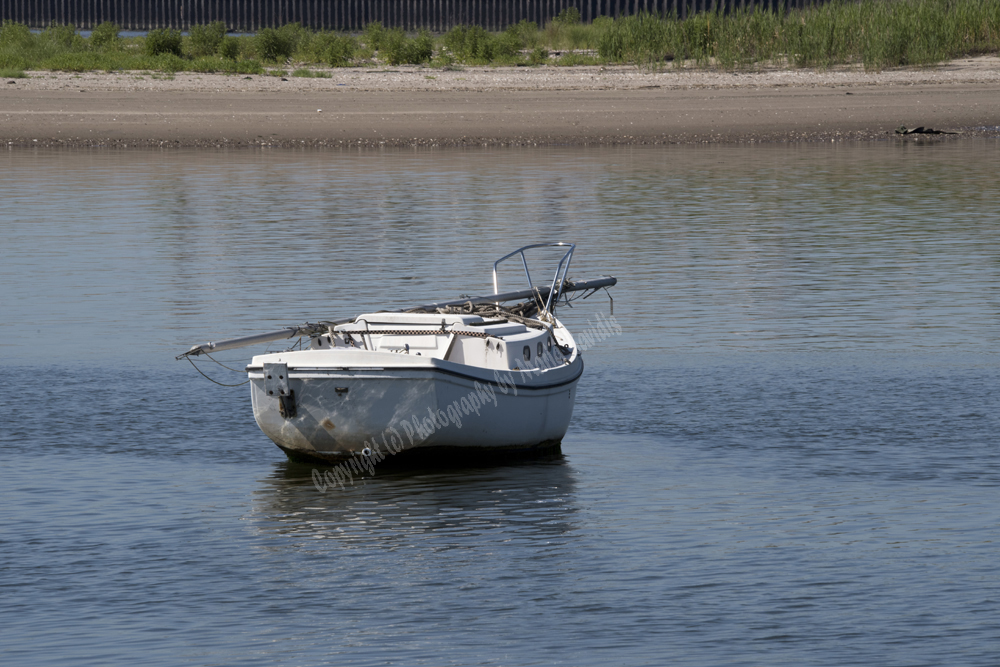 Jersey City, NJ 2017