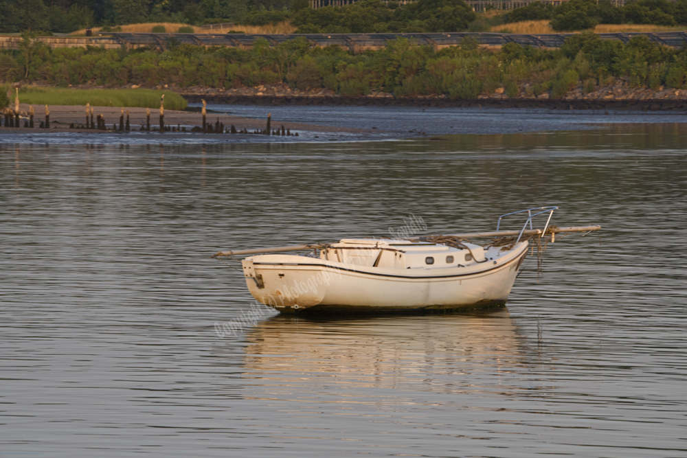 Jersey City, NJ 2017