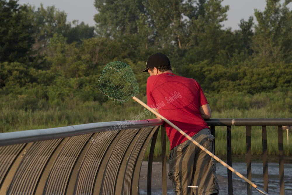 Jersey City, NJ 2017