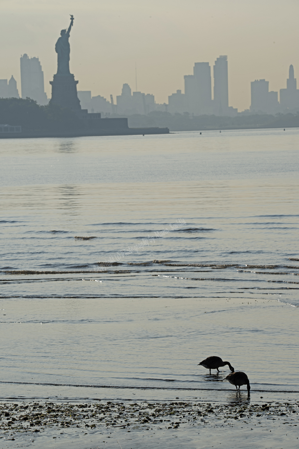 Jersey City, NJ 2017