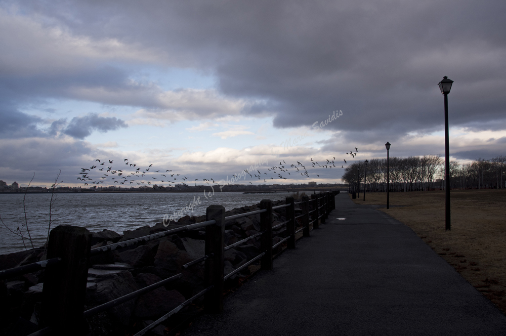 Jersey City, NJ 2017