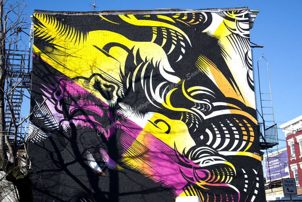 Jersey City, NJ 2018