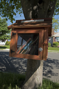 Madison, NJ 2017-8ds-1878 Little Free Library