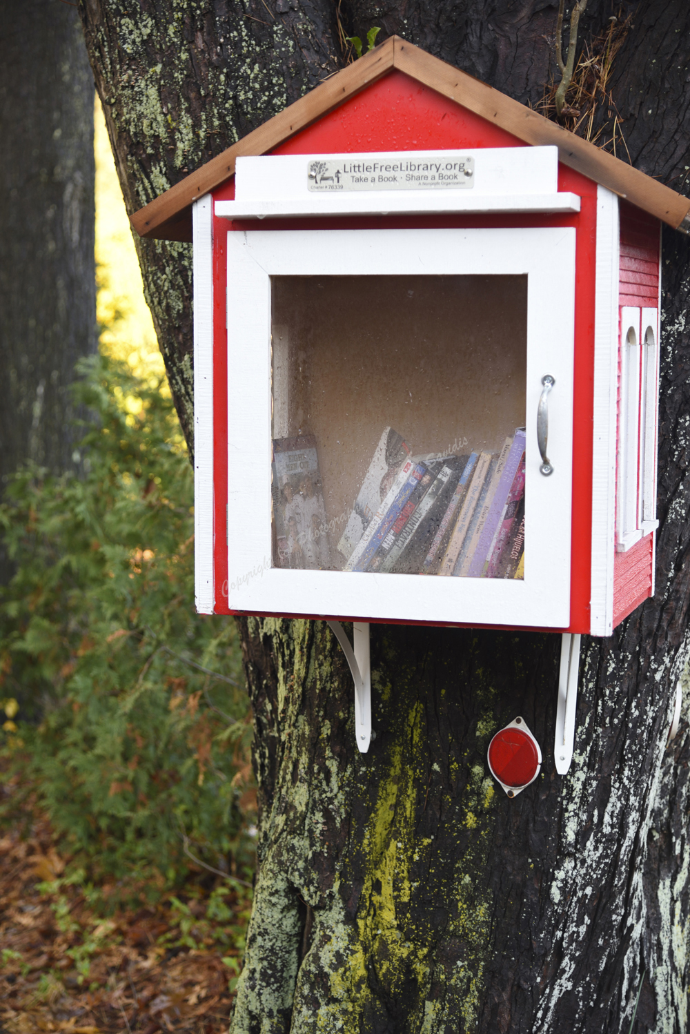 Maplewood, NJ November 2018 - Borrow a book, lend a book - Little Free Library