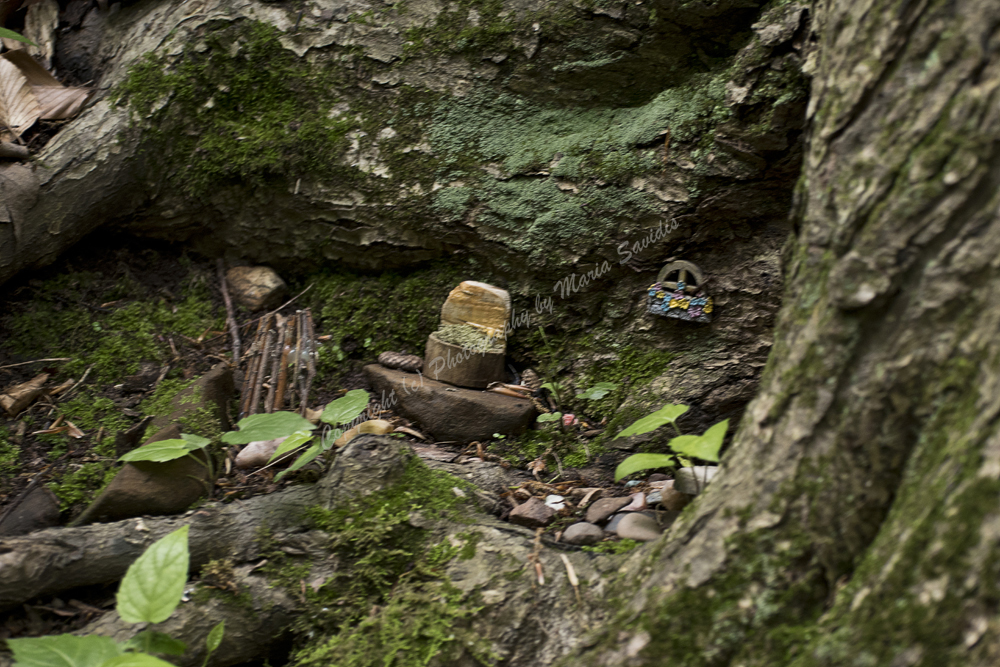Fairy Trail, Rahway River Trail, South Mountain Reservation, Millburn, NJ