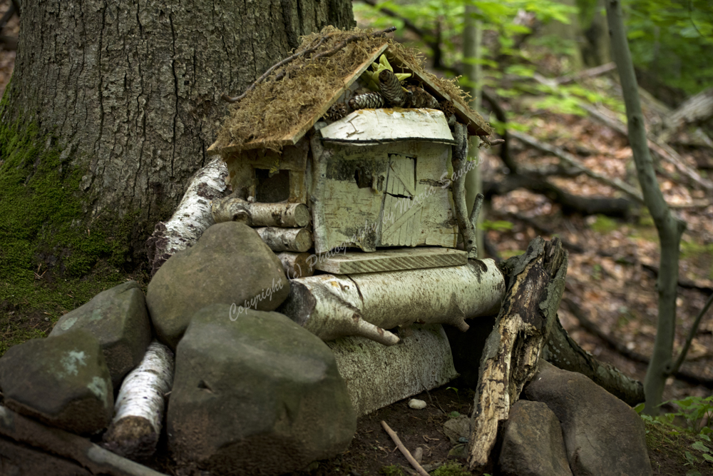 Fairy Trail, Rahway River Trail, South Mountain Reservation, Millburn, NJ