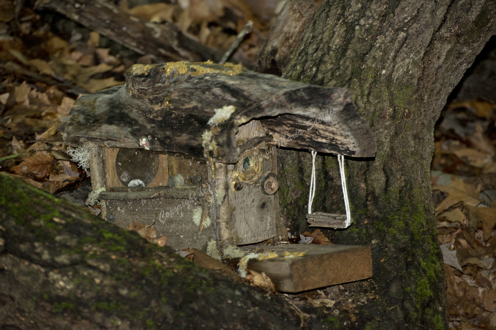 Fairy Trail, Rahway River Trail, South Mountain Reservation, Millburn, NJ