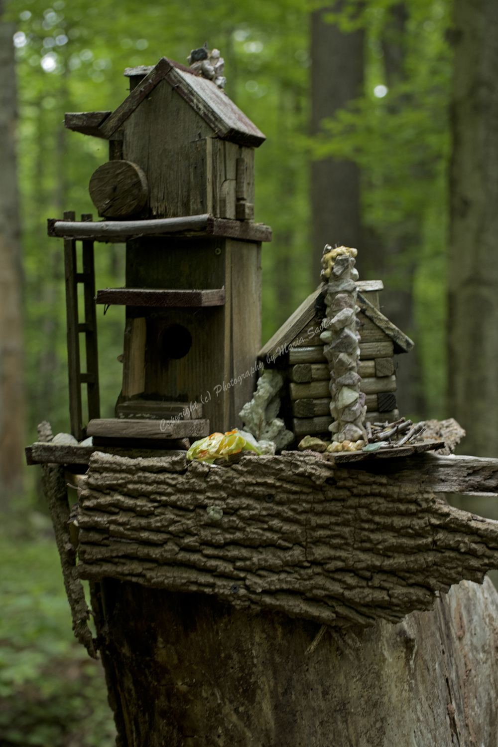 Fairy Trail, Rahway River Trail, South Mountain Reservation, Millburn, NJ