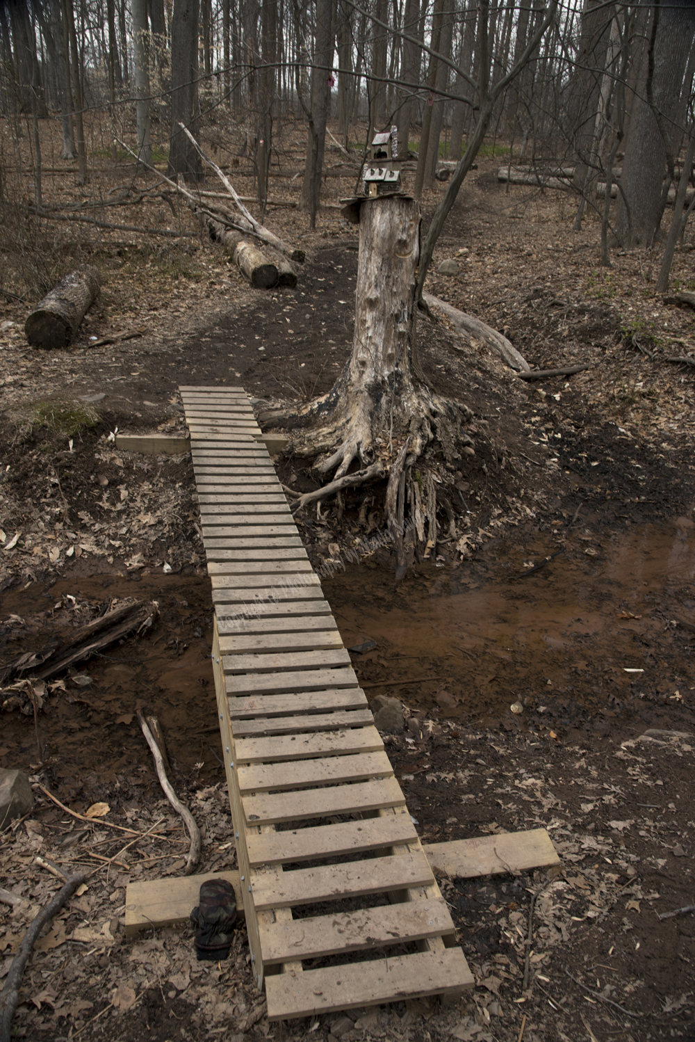 Fairy Trail, Rahway River Trail, South Mountain Reservation, Millburn, NJ