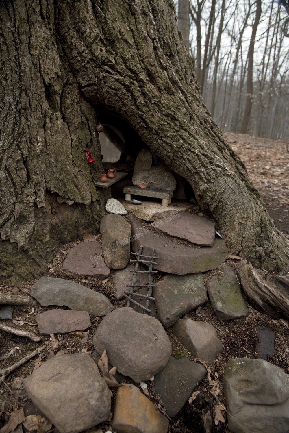 Fairy Trail, Rahway River Trail, South Mountain Reservation, Millburn, NJ