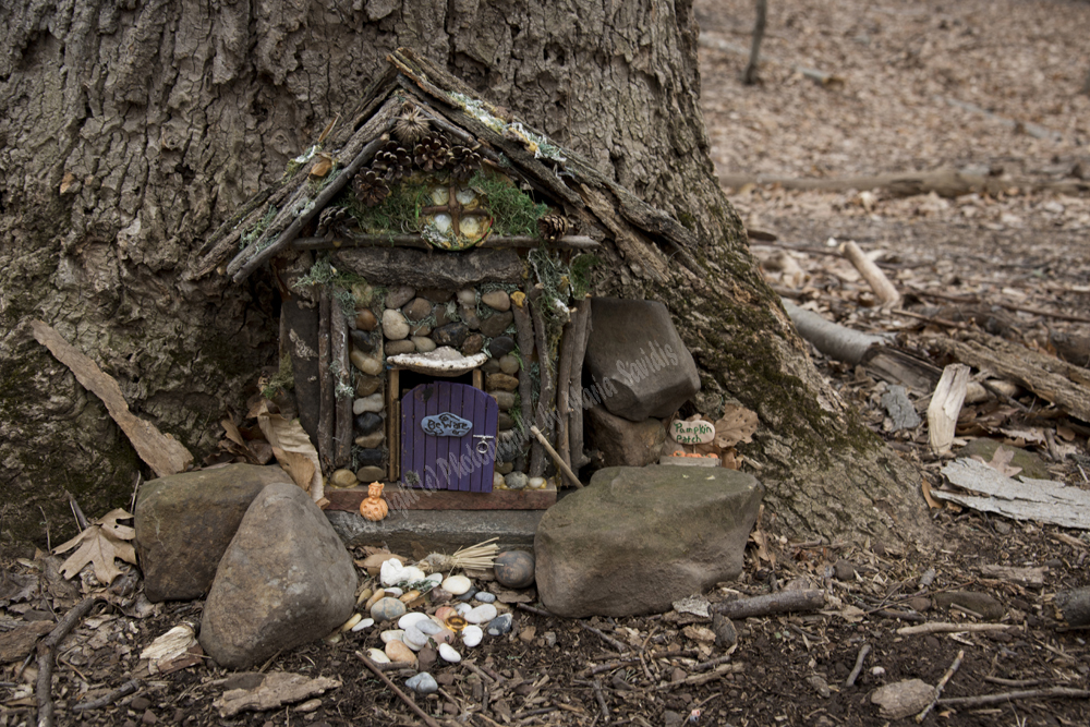 Fairy Trail, Rahway River Trail, South Mountain Reservation, Millburn, NJ