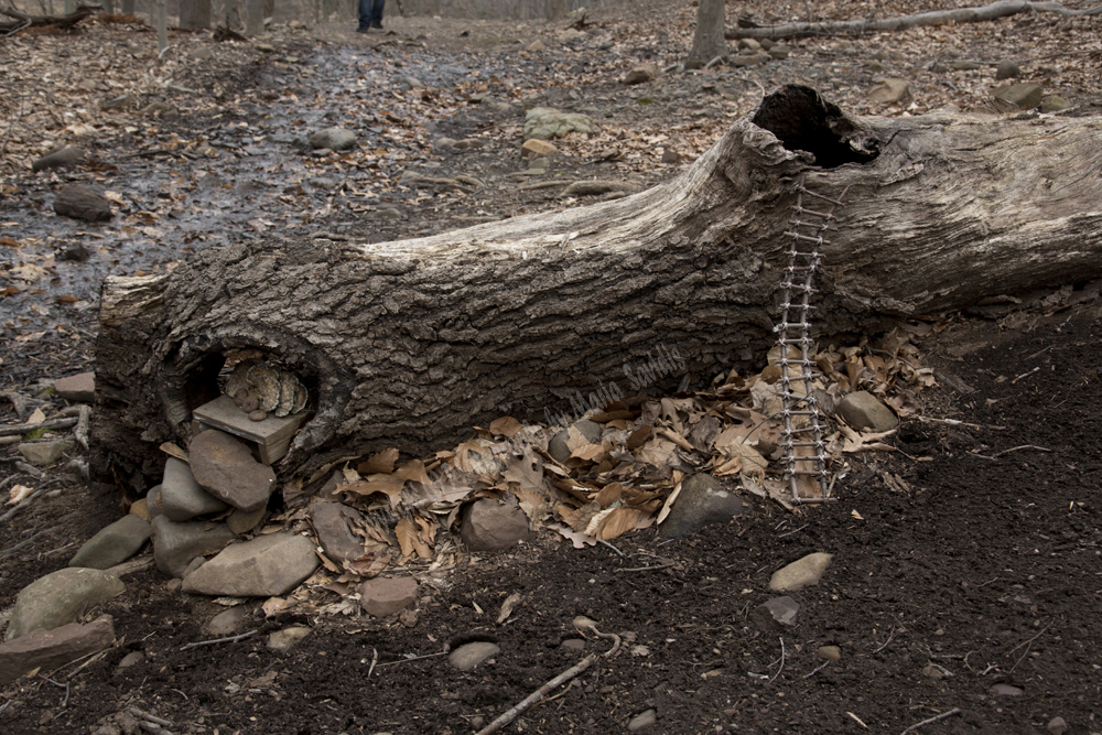 Fairy Trail, Rahway River Trail, South Mountain Reservation, Millburn, NJ