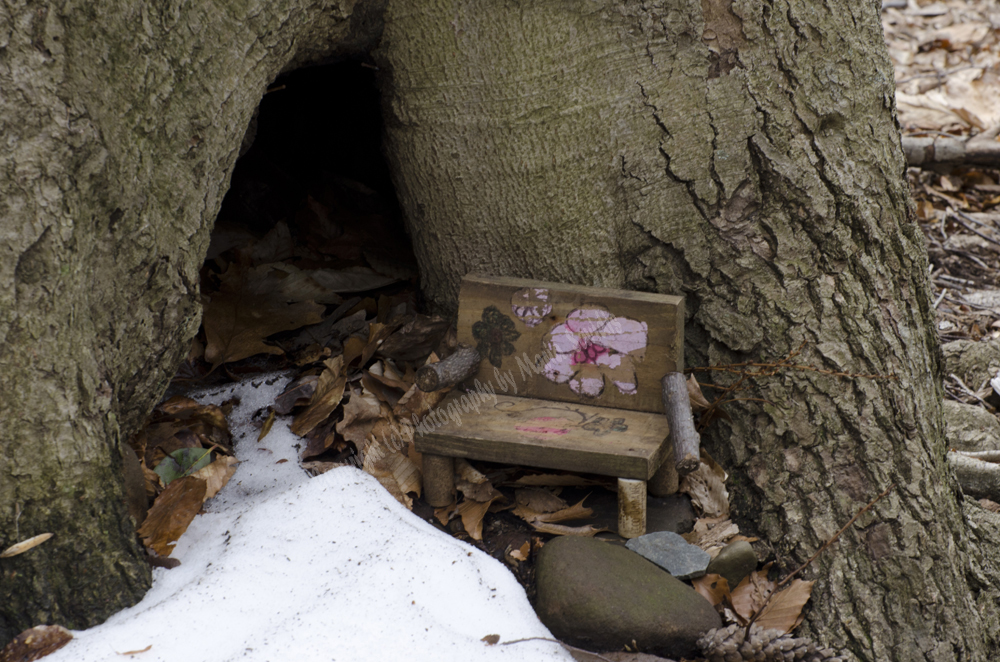 Fairy Trail, Rahway River Trail, South Mountain Reservation, Millburn, NJ