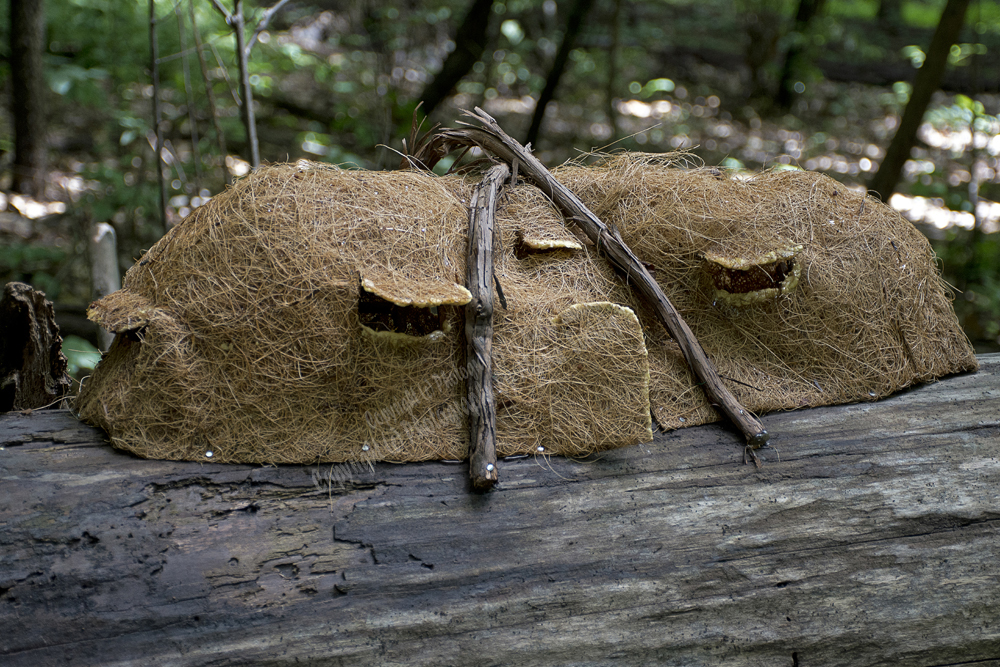 Fairy Trail, Rahway River Trail, South Mountain Reservation, Millburn, NJ