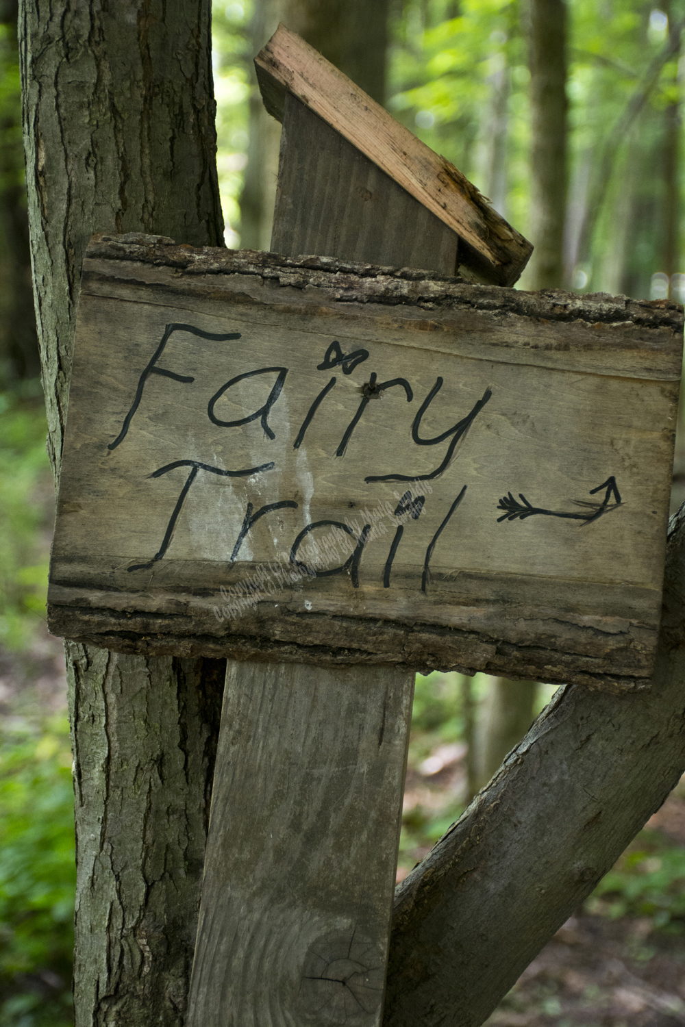 Fairy Trail, Rahway River Trail, South Mountain Reservation, Millburn, NJ